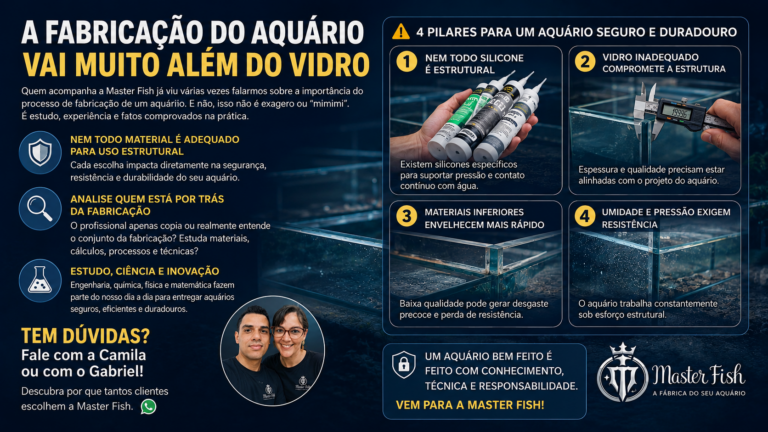 Leia mais sobre o artigo A Fabricação do Aquário Vai Muito Além do Vidro