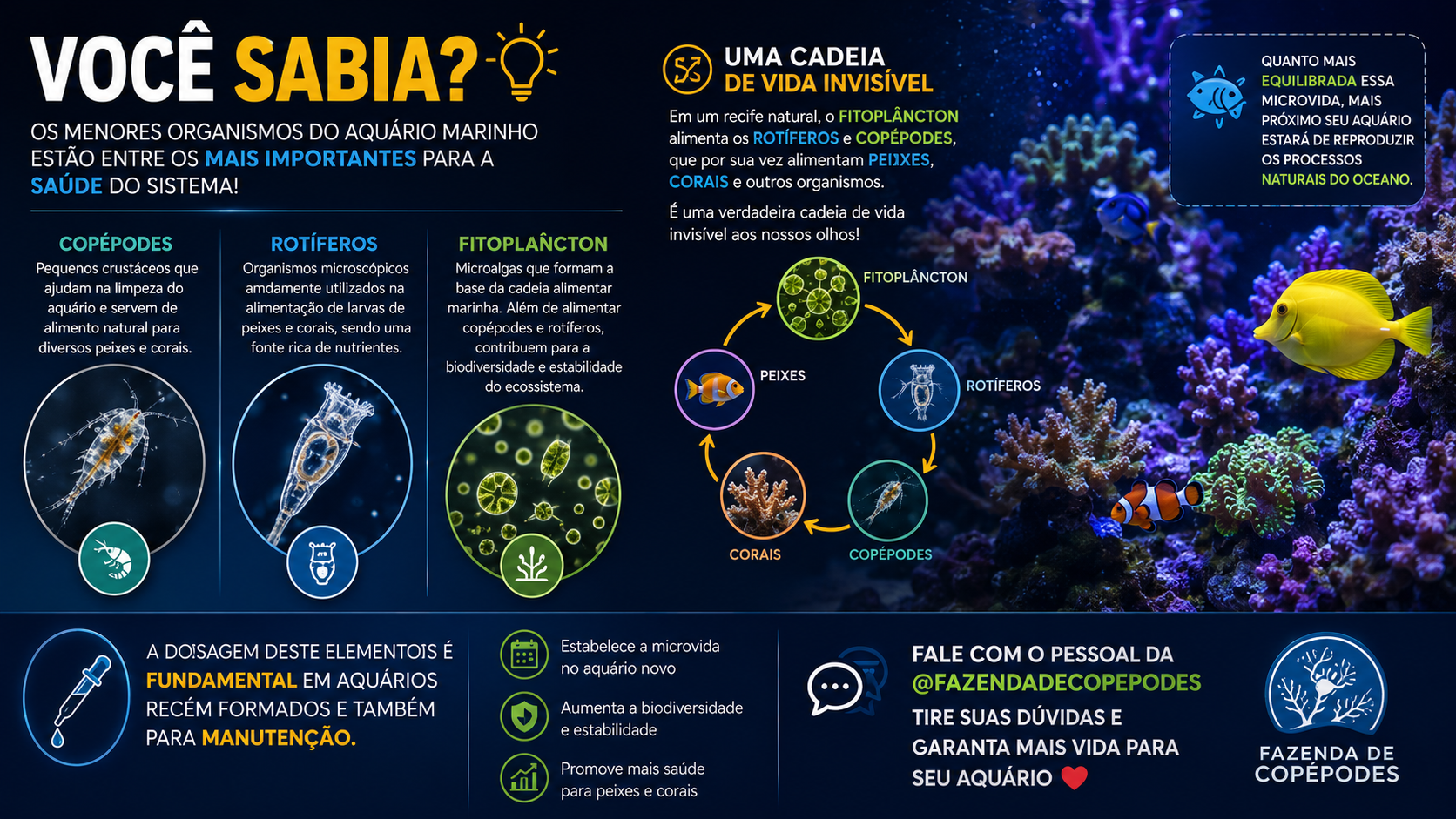 Você Sabia? A Microvida é a Base de um Aquário Marinho Saudável
