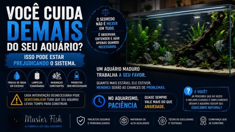 Leia mais sobre o artigo Você cuida demais do seu aquário? Isso pode estar prejudicando o sistema.
